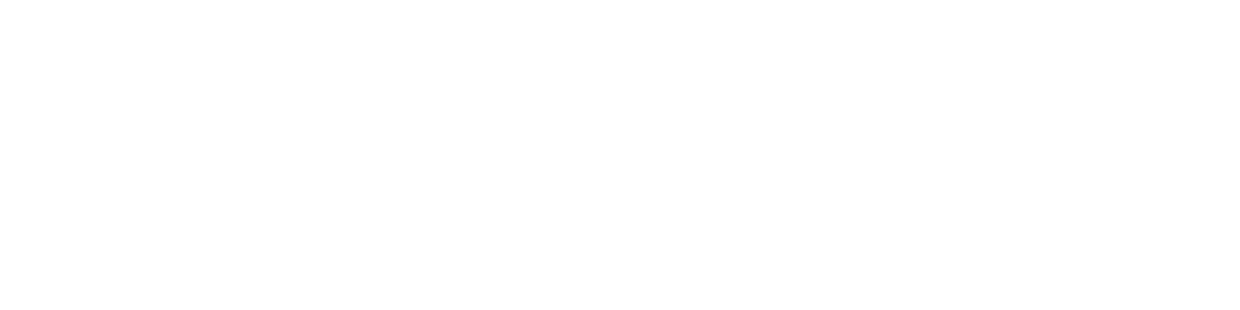 Texas Nationals Logo